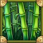 Mystery Bamboo Symbol
