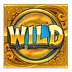 Wild Symbol